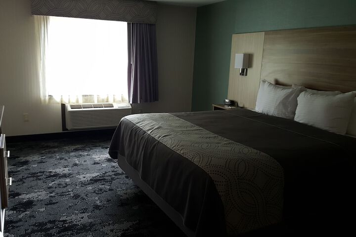 1 King Bed (1 of 4)