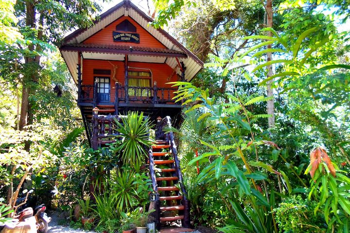 Khao Sok Tree House in Phanom