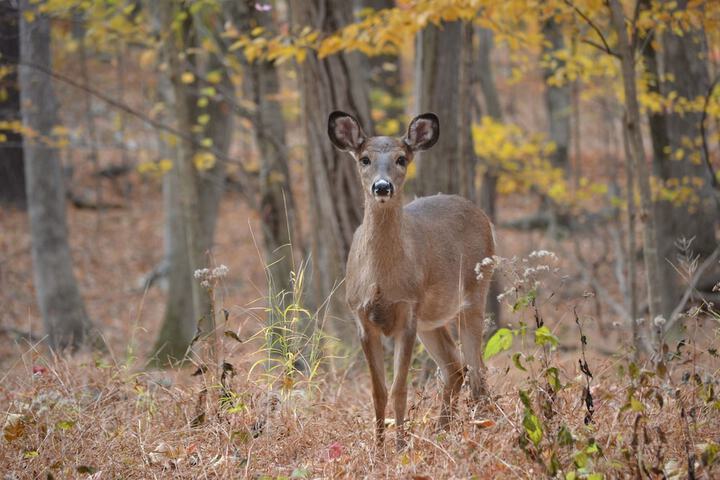 Hotel Exterior 30 of 35