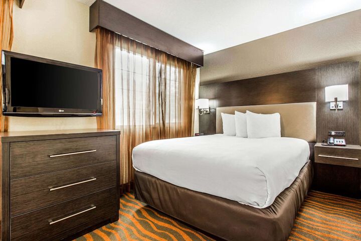 1 Queen Bed Accessible (12 of 13)