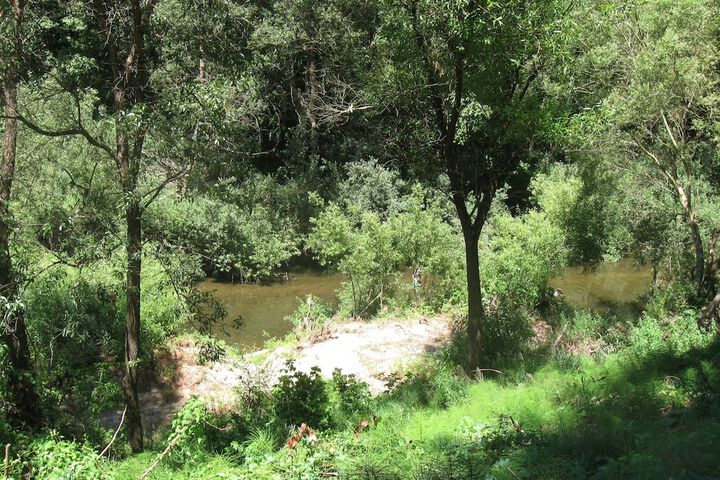 Property Grounds 312 of 329