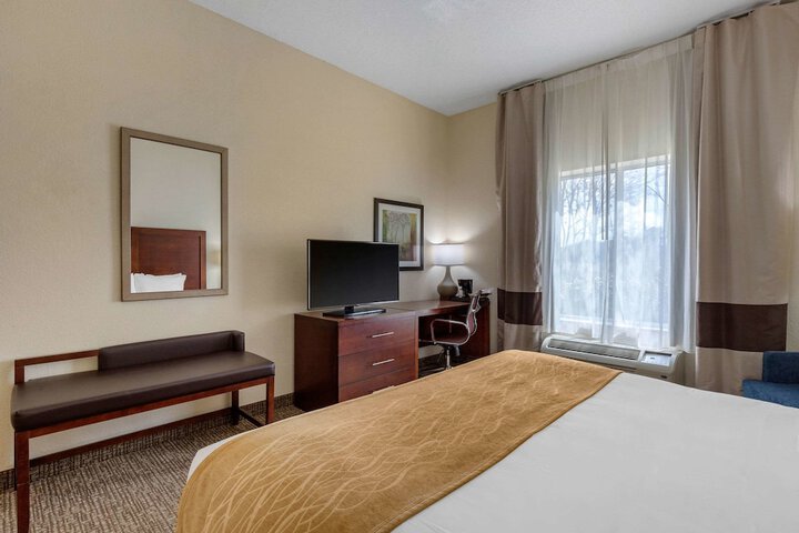 Standard | King Bed (5 of 7)