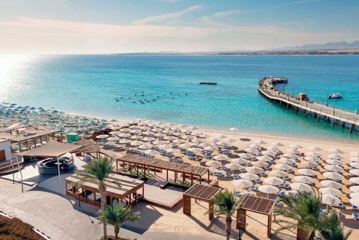 SRNTY Sahl Hasheesh