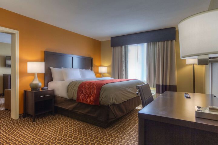 1 King Bed (3 of 14)
