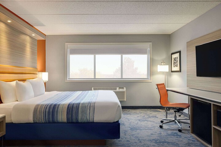 1 King Bed (31 of 42)