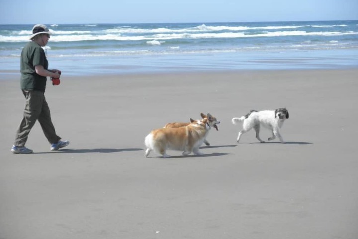 Beach 124 of 150