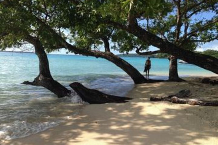Beach 47 of 194