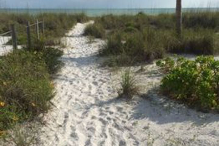 Beach 9 of 41