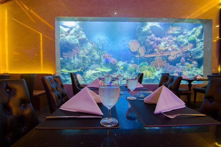 Dining 54 of 125