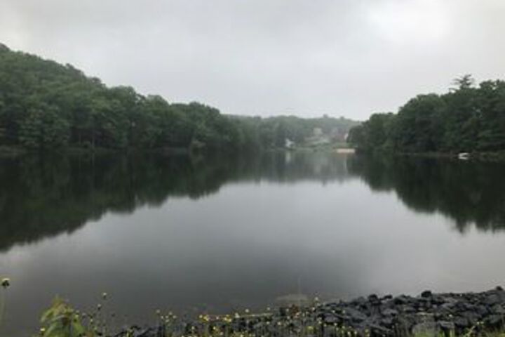 Property Grounds 18 of 26