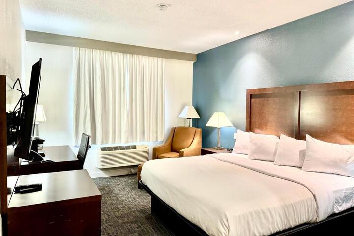 1 King Bed (2 of 16)