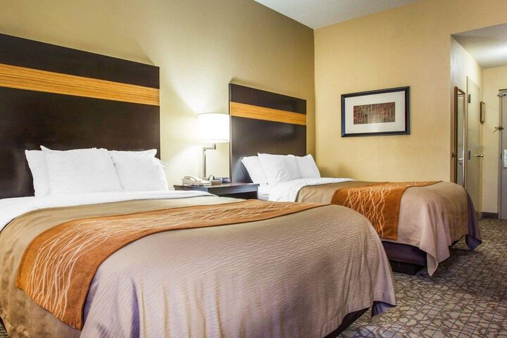 2 Queen Beds (8 of 29)