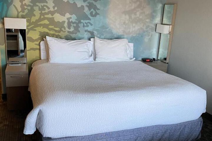 1 King Bed (3 of 16)