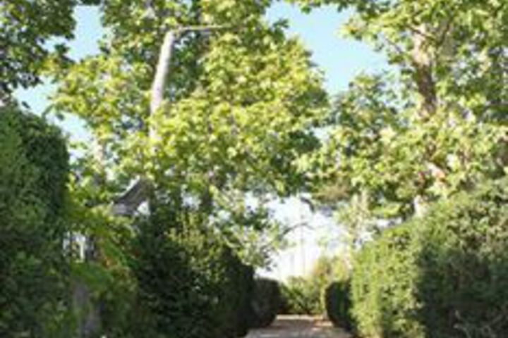 Property Grounds 22 of 23