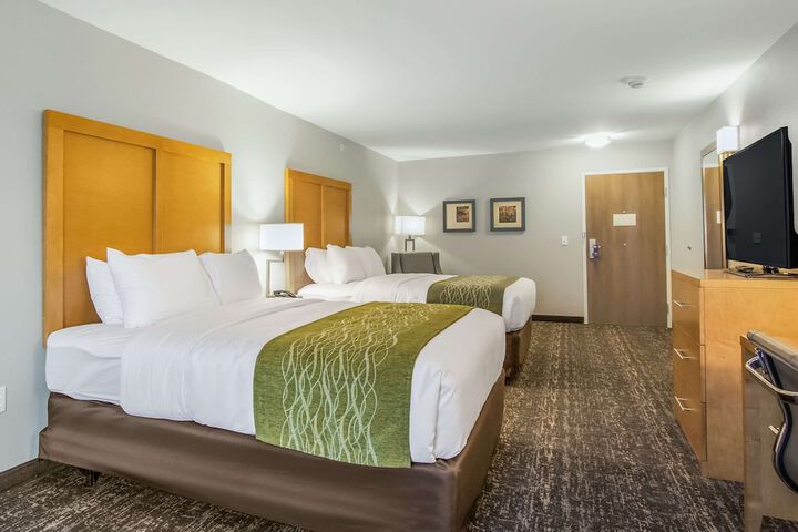 2 Queen Beds (2 of 15)
