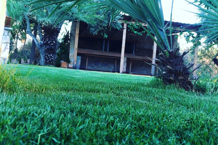 Property Grounds 13 of 19