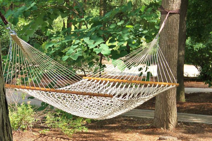 Property Grounds 113 of 124