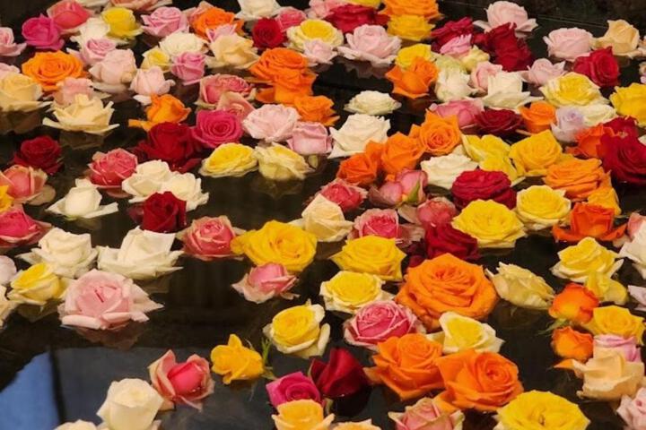 Spa and Wellness Pictures