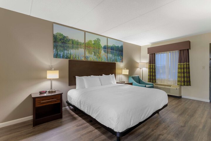 1 King Bed (10 of 15)
