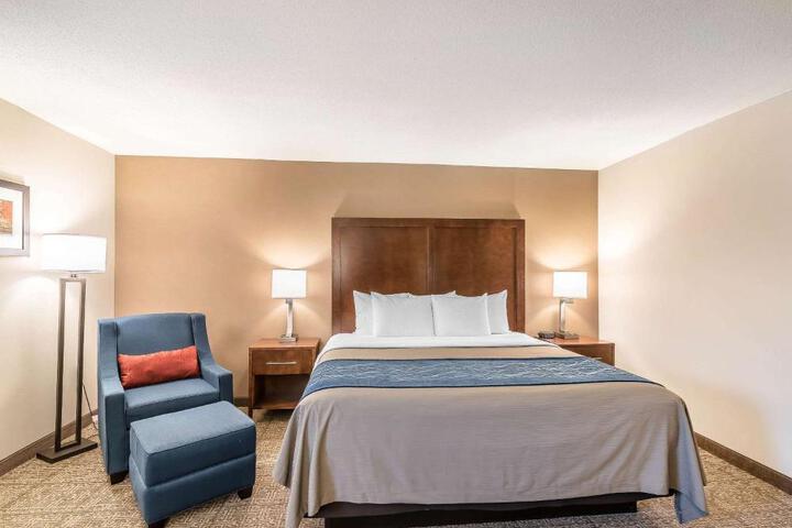 Standard Room, King or Two Doubles (1 of 8)