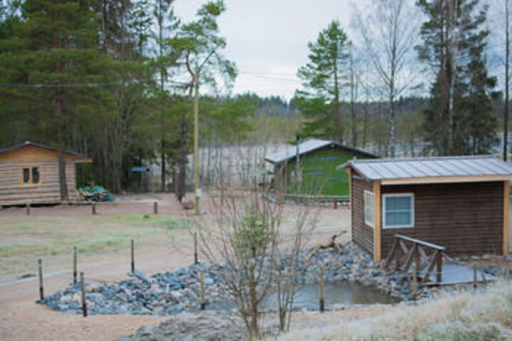Property Grounds 12 of 15