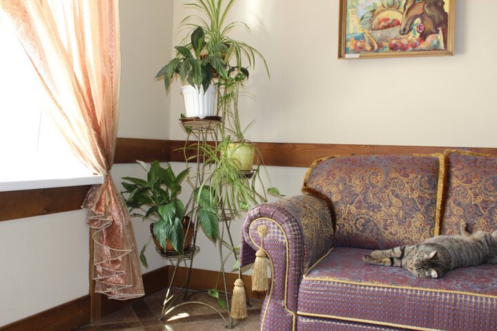 Hotel Pechory-Park