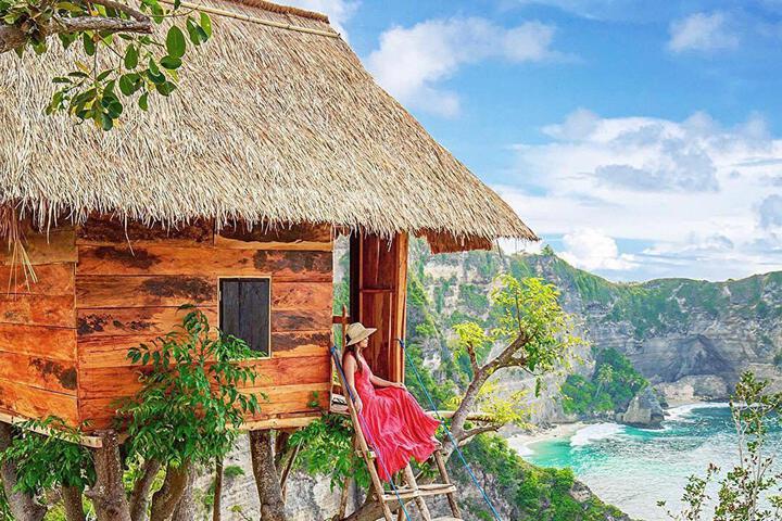 Rumah Pohon Tree House
