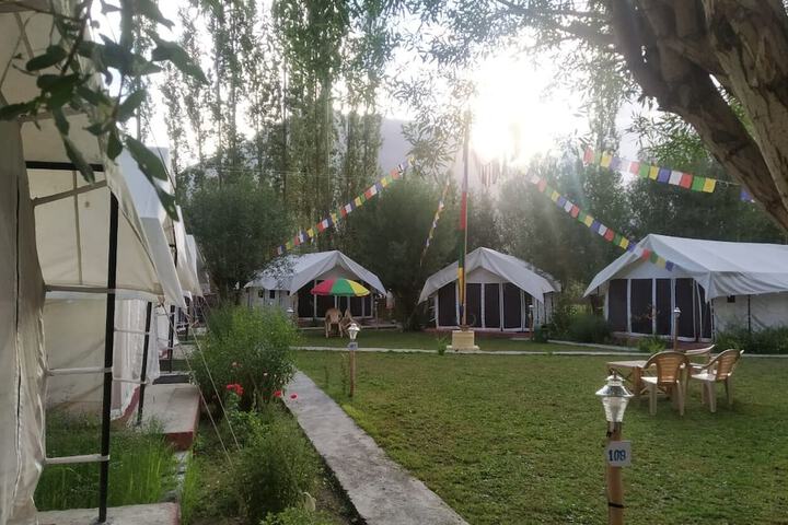 Lumbini Camp- Nubra Valley in Leh