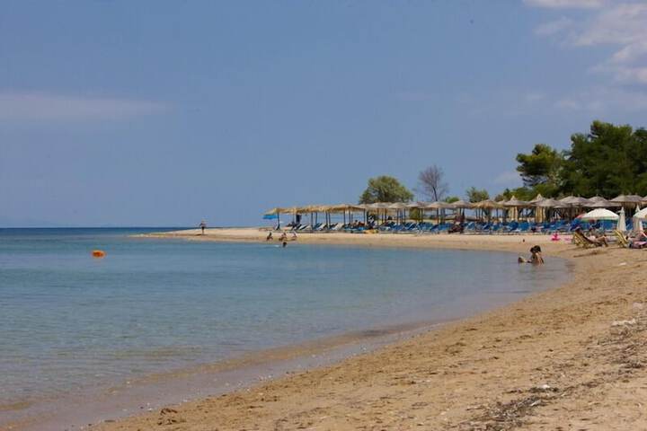 Beach 36 of 39