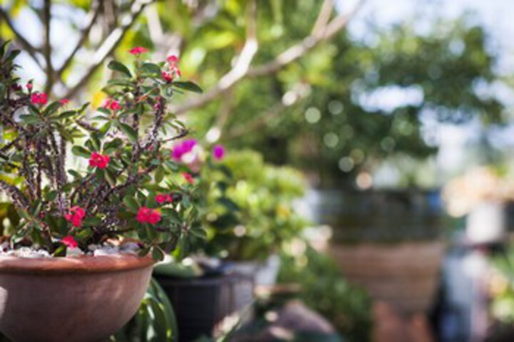 Hotel Exterior 10 of 24