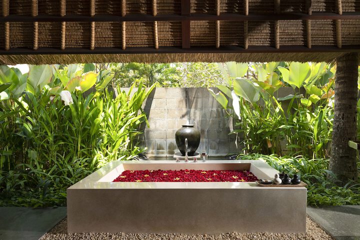 Wellness Treatments