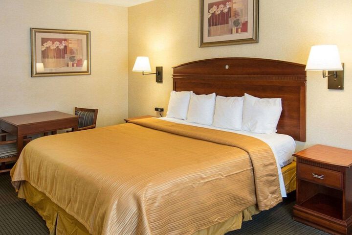 1 King Bed Business Room (5 of 5)