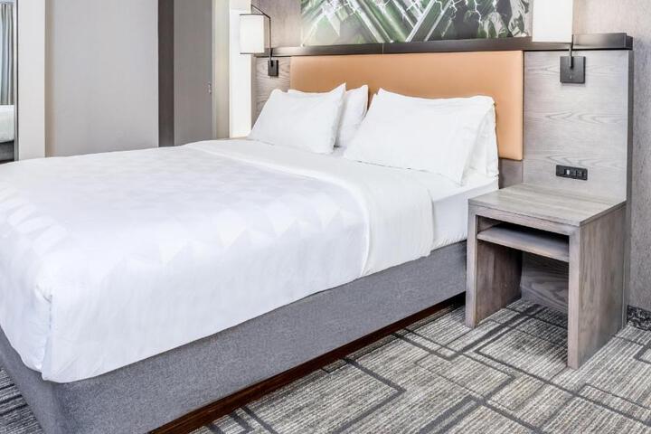 Standard | King Bed (10 of 29)
