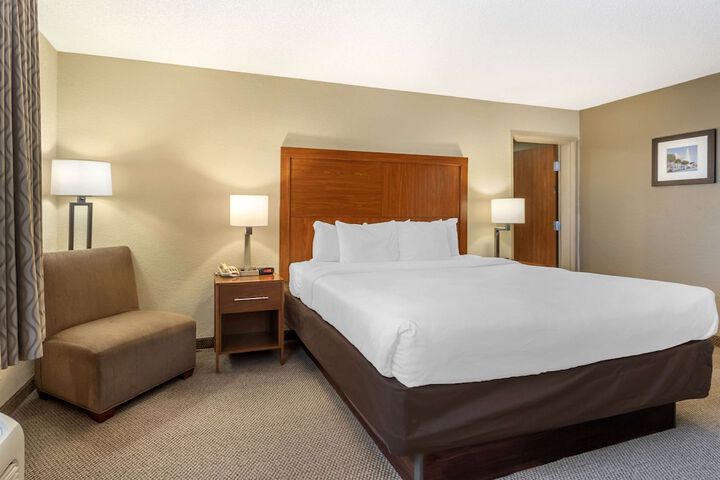 2 Queen Beds (8 of 12)
