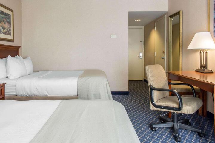 Quadruple with Double Bed (6 of 10)