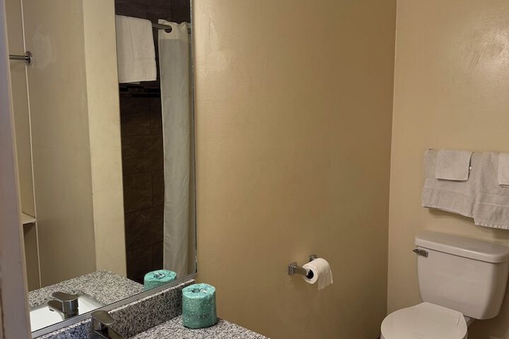 Standard Room, King or Two Doubles (6 of 14)