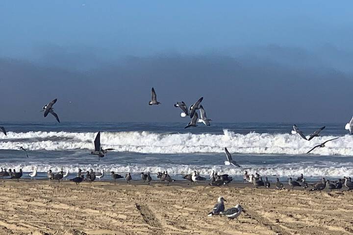 Beach