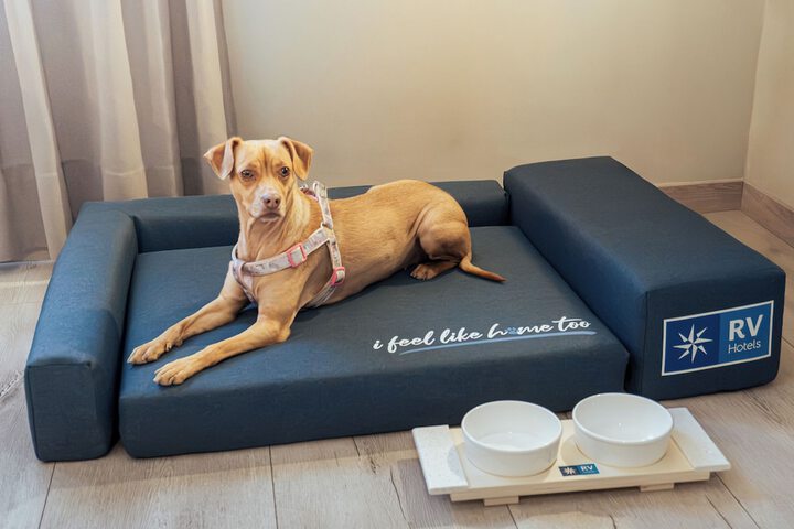 Pet Friendly 65 of 100