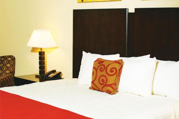 1 King Bed (3 of 8)