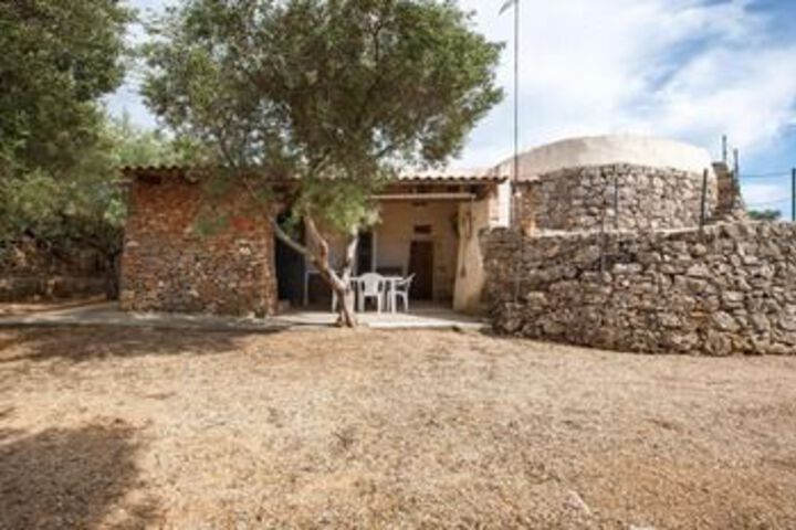 Pajara La Turre