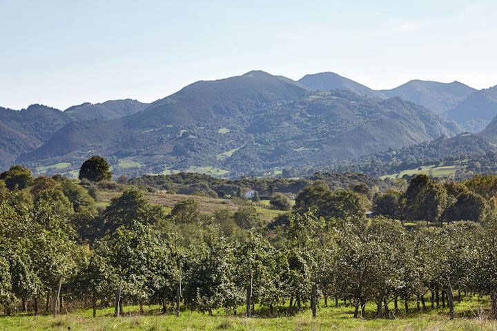 Appealing Mansion in Nava With Private Garden