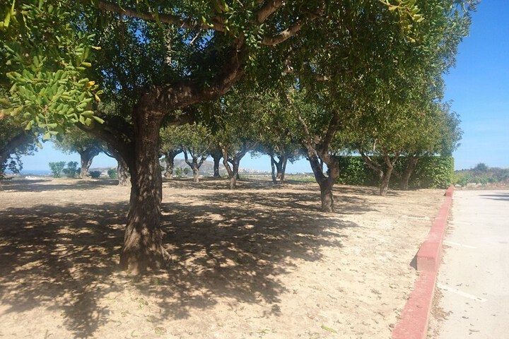 Property Grounds 116 of 138