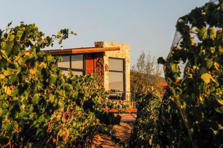 General 81 of 113