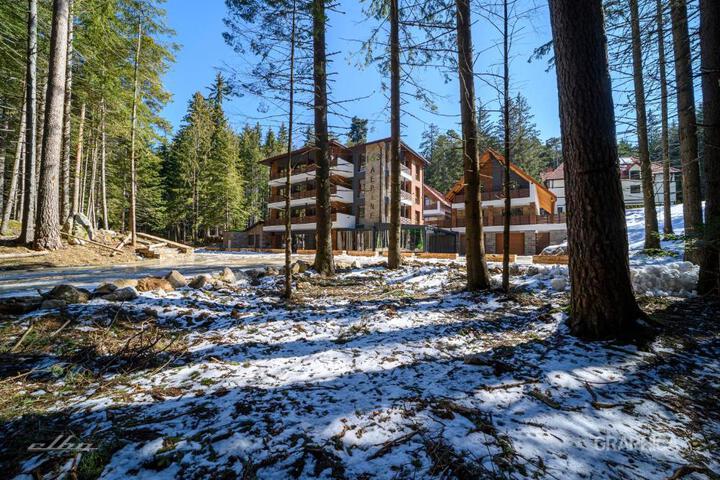 103 Alpine Hotel