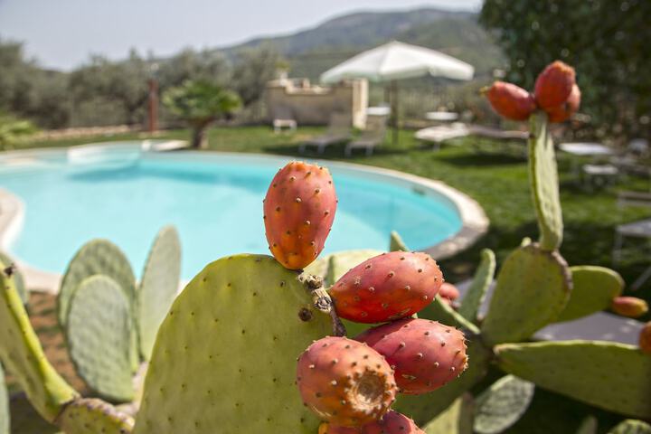 Pool 54 of 101