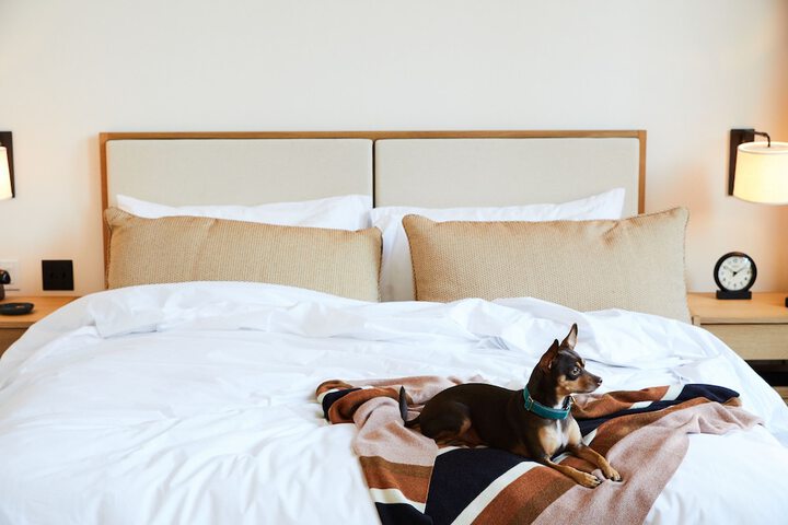 Pet-friendly