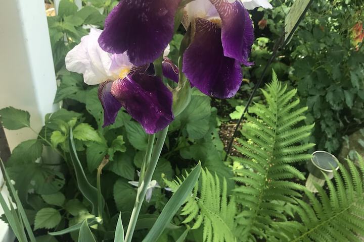 Hotel Exterior 45 of 52