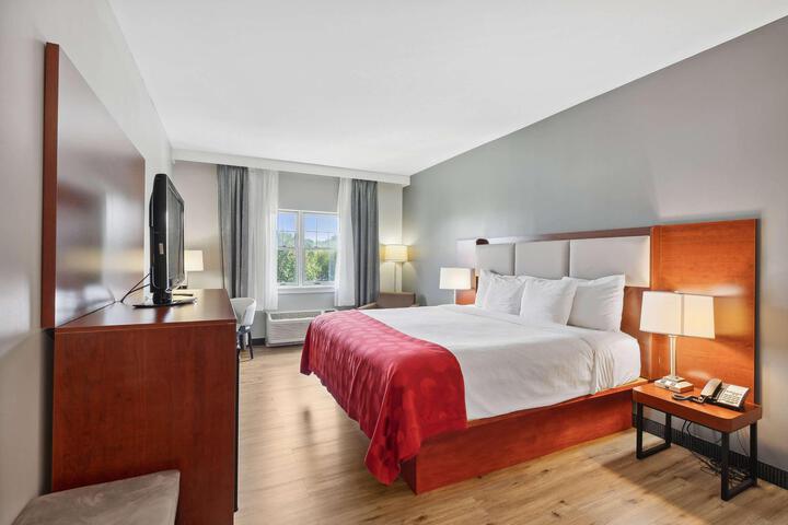 1 King Bed (3 of 9)