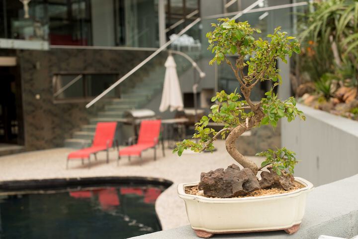 Hotel 14 of 252