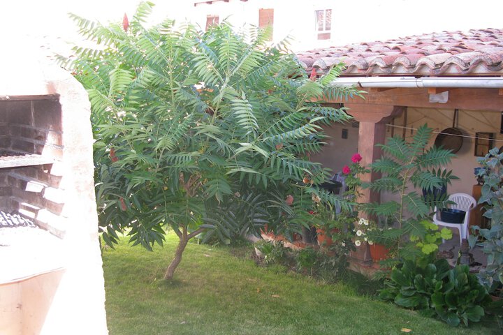 Hotel Exterior 21 of 26